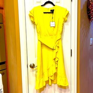 LAUNDRY SOPHISTICATED DRESS 👗❤️👗